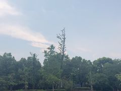 -浦鸿会尚莊亲子餐厅(碧云店)