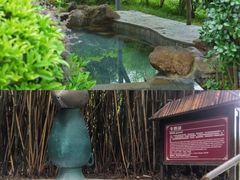 -森波拉火山温泉