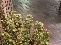 -花迹(富春江东街店)