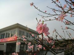 -公益图书馆(江南大学店)