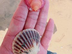 -烟台金沙滩海滨公园