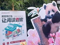 -轩客会(熊猫书店)