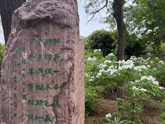 -洛阳市隋唐城遗址植物园