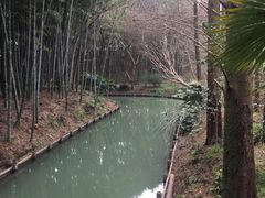 -同里国家湿地公园