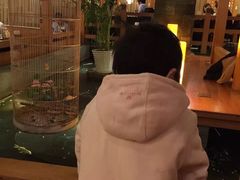 -松子料理(亮马桥店)
