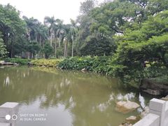 -云溪植物园