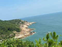 -广东惠东海龟国家级自然保护区