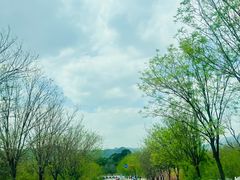 -大岭沟猕猴桃谷风景区