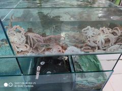 -福鑫源海鲜烧烤