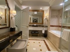 -澳门威尼斯人综合度假区