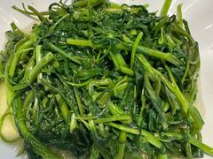 -阿英煲(凉城路店)