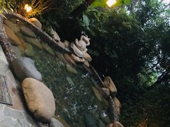 -天目湖涵田半山温泉