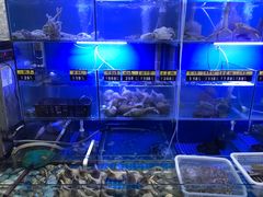 水产区-金龙·打边炉(武进路店)