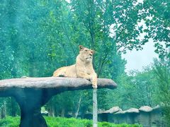 -北京野生动物园