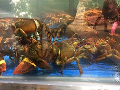 -盒马鲜生(莱蒙都会店)