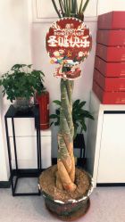-痘博士天津·全国连锁祛痘机构
