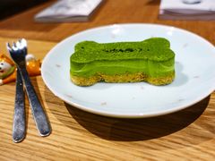 柴犬抹茶慕斯-柴务处·柴犬主题狗咖