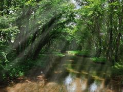 -西溪国家湿地公园