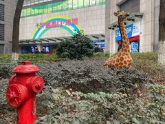 -贝尔麦莎(城上城店)