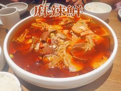 -莫山小馆(百花店)