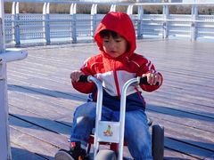 -大兴滨河森林公园