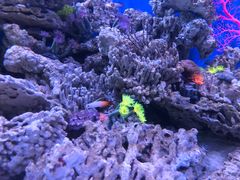 -成都浩海立方海洋公园