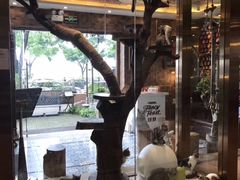 -more than meow吴止猫主题餐厅(承德 中船汇店)