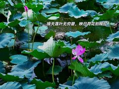 -颐和园