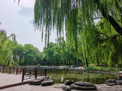 -玲珑塔公园