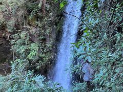 -马峦山郊野公园