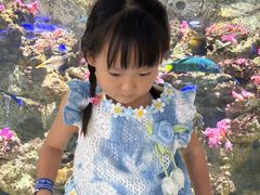 -欢乐海岸海洋奇梦馆
