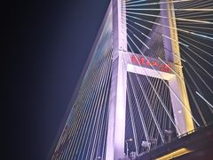 -武汉知音号