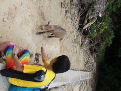 商户图片-东姑阿都拉曼海洋公园