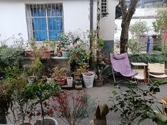 -家烧面馆【南山路知名经典面食】