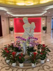 -馨月汇·独栋月子会所(静安店)