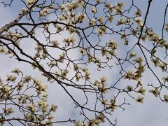 -嘉北郊野公园