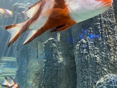 -福州罗源湾海洋世界旅游区