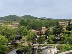 -青岛香根温泉酒店