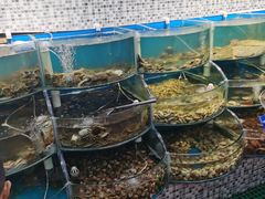 水产区-仙螺岛海鲜自助餐厅(总店)