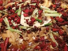 -老板恋上鱼(印象城店)