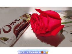 -海底捞火锅(长沙华创国际广场店)