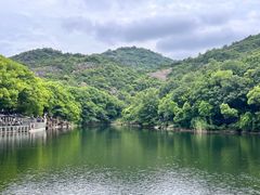 -白马涧龙池景区
