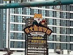 门面-柴犬高等学院·狗咖·柴犬售卖·宠物训练