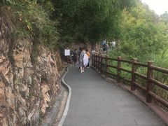 -羚羊峡古栈道森林公园