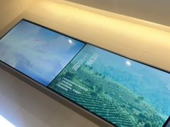 -喜茶(徐州金鹰店)