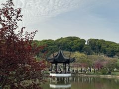 -苏州上方山国家森林公园