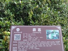 -广西壮族自治区药用植物园
