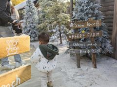 -HERRE·FARM 赫尔露营农场·团建聚会包场