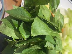 -野菌皇海景野生菌火锅(滨海大道店)