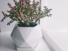 -花沐 FLOWER BATH(凤凰城店)